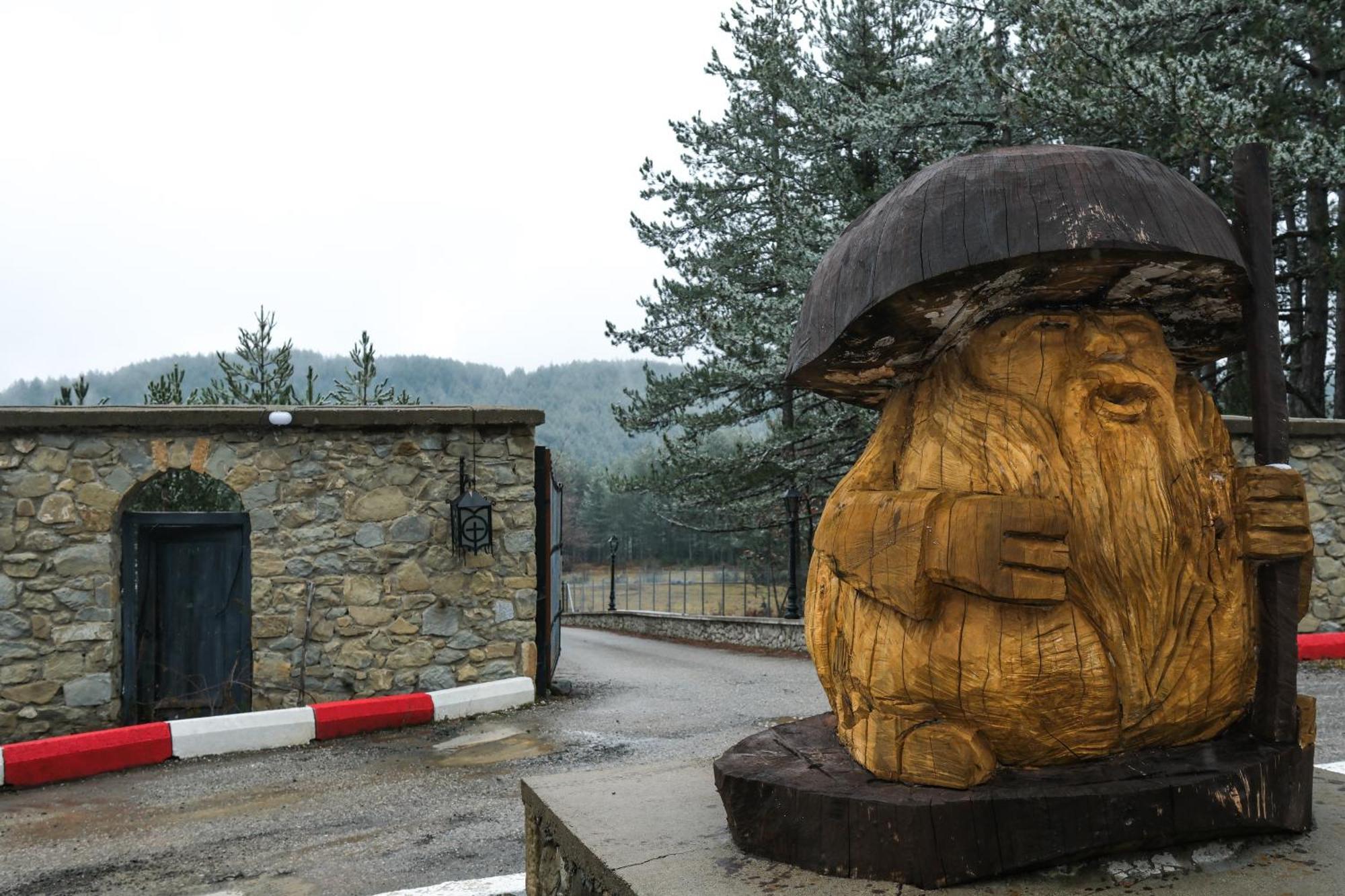 Pindos Resort Kraniá エクステリア 写真